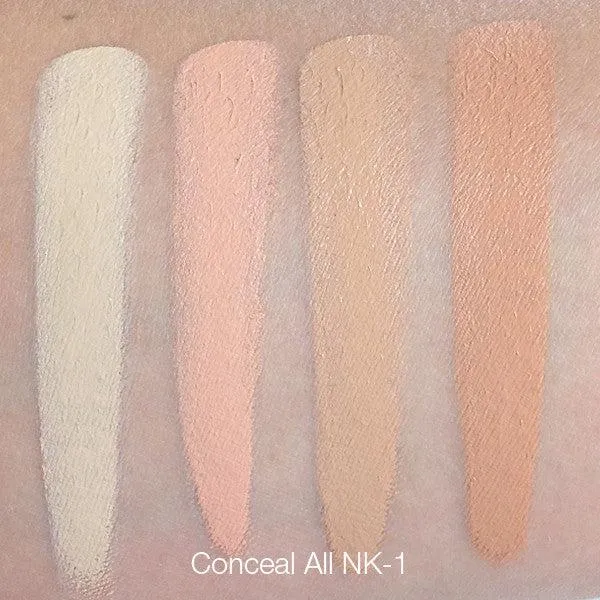 Ben Nye Special Color Wheel