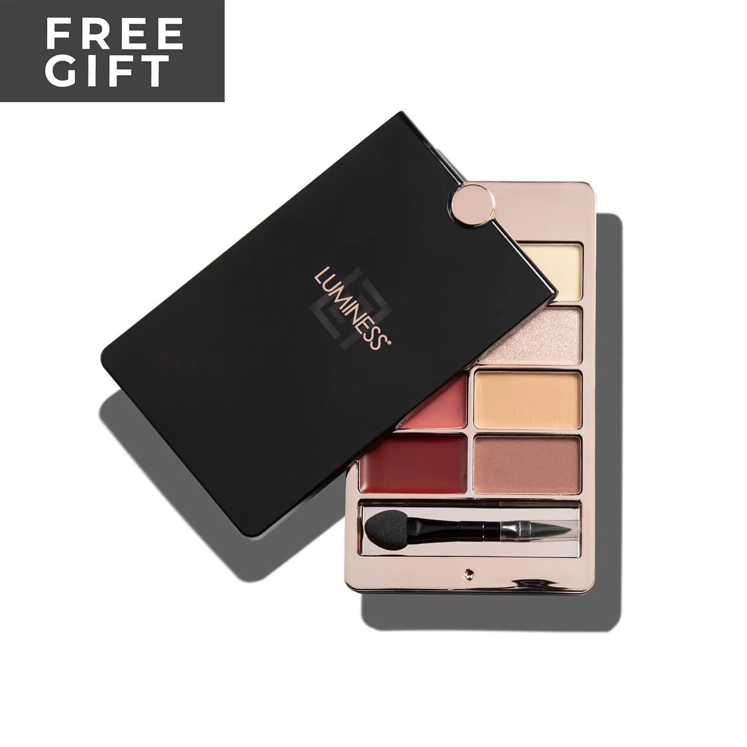 Icon Pro Airbrush Travel System Kit
